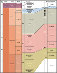 Figure 4: Revised calibration of the palynostratigraphic scheme for part of the Australian Permian based on CA IDTIMS dates (black arrows). At the left if the standard chronostratigraphy of the Permian and Early Triassic from the international Geological Time Scale of Gradstein et al. (2012). In the middle is a recent calibration of the palynostratigraphy based on that of Mantle (2010). Here, the top of the APP3 Zone is given as 271.4 Ma, while the top of the overlying APP4 Zone is given as 263.3 Ma, that of the APP5 Zone is given as 254.3 Ma and that of the uppermost APP 6 Zone is given as 252.6 Ma. To the right is a recalibration of the palynostratigraphy based on our radioisotopic dating. Here, the top of the APP3 Zone lies at 269.5 Ma, about 2 million years younger than previously calibrated; the top of the APP4 Zone lies at 259 Ma, over 4 million years younger than previously estimated; the top of the APP5 Zone lies 252.4 Ma, almost 2 million years younger than previously estimated. These data indicate that the APP6 Zone either occupies a very short time interval or extends up into the Early Triassic.