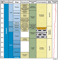 Figure 4: A chart showing nine columns labelled (from left to right) Age, Period, Epoch, Stage, Dinocyst zone, Spore-pollen zone, Lithostratigraphy, Basin Phase and Sea-level curve. The ages range from 145 to 200 million years ago, showing the Epochs and Stages of the Jurassic Period. The chart shows Perth Basin Jurassic stratigraphy, including the Yaragadee, Cadda and Eneabba formations, plus the Cattamarra Coal Measures. These units are correlated with basin phases and also the ranges of Jurassic Dinocyst zones and Spore-pollen zones. For example, the Catamurra Coal Measures are shown to correlate with the Callialasporites turbatus Spore-pollen zone. The far-right column shows the changes in the global sea level curve during the Jurassic period.