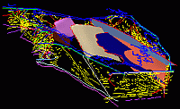 screen capture of the Tasmania TASGO 3D Model showing seismic interpretations and major faults