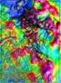 Colour TMI image and interpreted geology from the Central Olympic Cu-Au Province online GIS. GA4126.