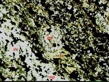 Garnet schist Sample 2003362524 photomicrograph - click to enlarge (129 KB).