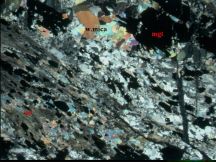 Foliated granite Sample 2003362525a photomicrograph - click to enlarge (85 KB).
