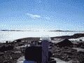Thumbnail Mawson Station Panorama_1 with marker in the Antarctic 2003 - Geodesy - linked image 35k
