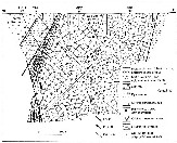 Interpreted geological cross section through the Mt Keith Ultramafic Complex (Dowling & Hill 1993). Linked image is 118k. Contact Lesley Wyborn.