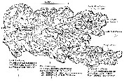 Upper - Schematic lateral section through a regional inflationary komatiite flow field developing via sustained eruption of lava, portraying possible relationships between various volcanic facies, and depicting those eruptive environments (with examples) conducive to the formation of types 1 and 2 Ni deposits (after Hill et al. 1995). Linked image is 119k. Contact Lesley Wyborn.