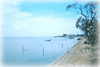 OzCoasts and OzEstuaries thumbnail