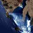 Thumbnail of
            MODIS image showing extent of bushfires over Eyre Peninsula on 11 January 2005.