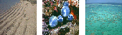 Marine Sediments Image