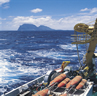 Approaching Lord Howe Island. (Photo: Peter Hill)