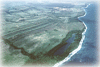 Coastal Research and Management thumbnail