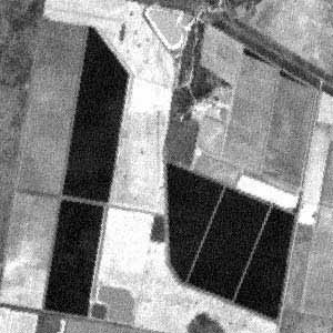A portion of a scene to illustrate the difference in resampling kernels for Landsat imagery using Modulation Transfer Function. Nearest neighbour (NN).