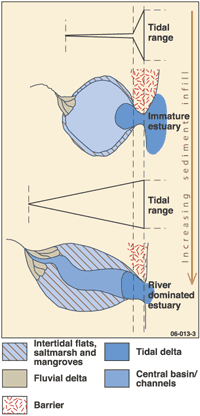 Fig 1. Simplified schematic of evolution of wave-dominated systems, showing changing estuarine shapes, sedimentary environments and connectivity with the sea.
