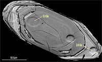 Fig 3. A sectioned zircon grain from a metamorphosed greywacke, imaged with backscattered electrons, subsequent to SHRIMP analysis (craters visible).