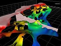 Dundas area cross-sections, seismic interpretations and fault planes (GA7767)