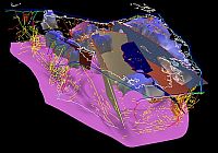 Figure 3. Indexed facesets (fault planes and geological boundaries), lines (coastline and interpreted seismic) and points (gold localities) in the Tasmanian model.