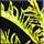 icon - mapping marine diversity article