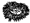 Anenome symbol