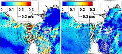 Fig 3. Computer simulation showing regional flow pattern over trade-wind and monsoon seasons.