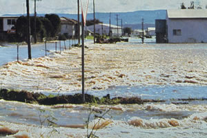 Riverine flooding occurs in relatively low-lying areas adjacent to streams and rivers.