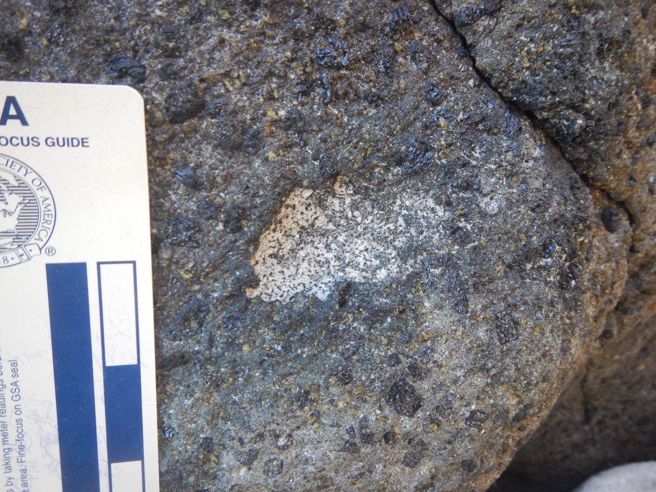 A xenolith (the white section) is preserved in the Little Island lava block. This xenolith may come from a depth of many kilometres within the Earth’s crust (Photo: S. Saito, JAMSTEC).