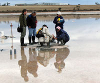 Scientists standing in a shallow lake gathering samples.