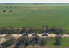 A convoy of vibroseis trucks as seen from a Drone