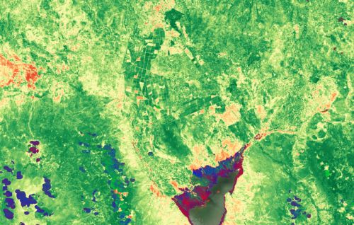 Processed satellite data showing an image of farmland in Tanzania