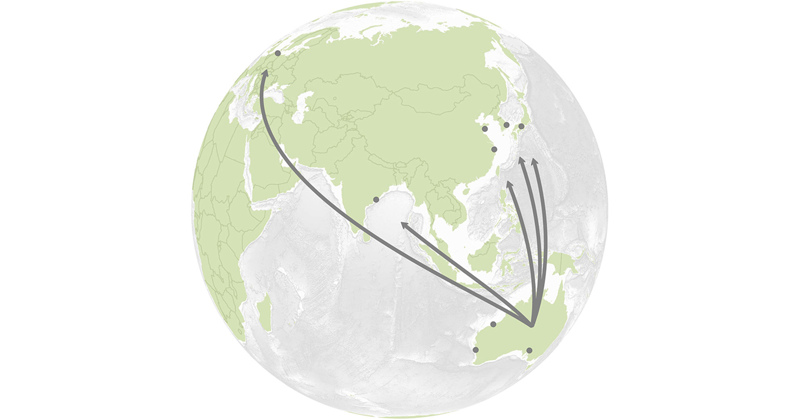 A globe with arrows leading from Australia's key export hubs towards prospective global markets for Australian green iron.