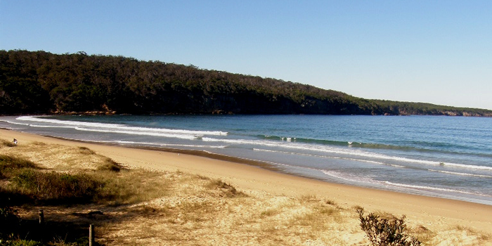 A photo of waves rolling in to a sandy beach with a peninsula covered in trees in the background