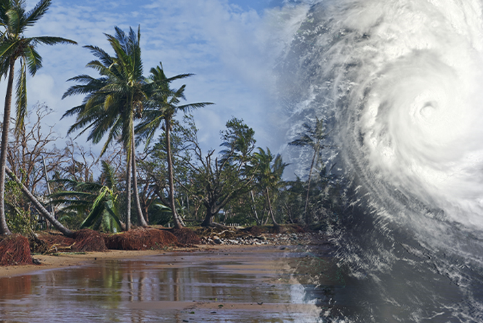 Tropical cyclone damage