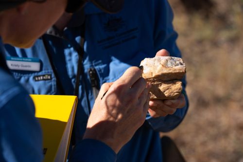 Close-up of two field workers in blue shirts examining a rock sample outdoors