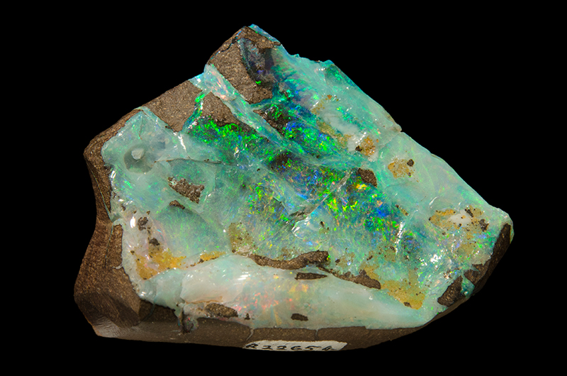 Brown coloured rock with white, blue and green sparkling opal in it.