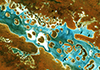 Sentinel-2A captured Lake Amadeus in Australia¿s Northern Territory on 19 December 2015.