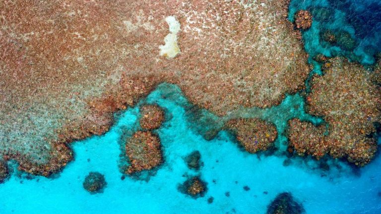 Aerial view of Farquharson Reef showing coral formations and shallow turquoise waters
