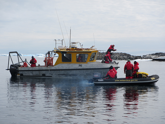 Scientists pulling up an anchor off front of a small work boat in Antarctic waters. A smaller inflatable boat can be seen alongside.