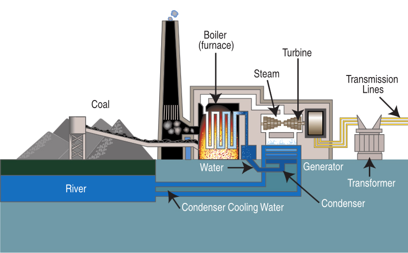 A river is depicted on the right with a coal stack above it. Water from the river is piped to the condenser in the powerplant. There is a chimney and a boiler furnace. Coal is being burned in the furnace , heating water. The steam produced is turning a turbine. A transformer and transmission lines are found to the left of the power plant diagram.