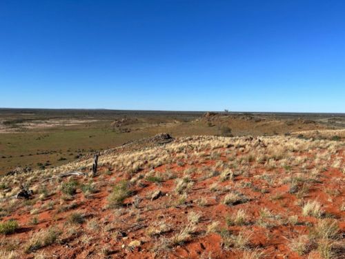 Landscape view of the Delamerian Deep Dive region in south-eastern Australia, showing terrain associated with the project study area.