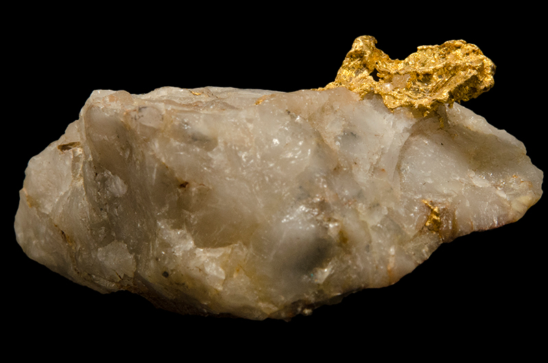 A mostly white rock made of quartz, with some gold metal protruding out of it