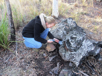 An example of where you may find a geocache. Girl searching under a log in the bush.