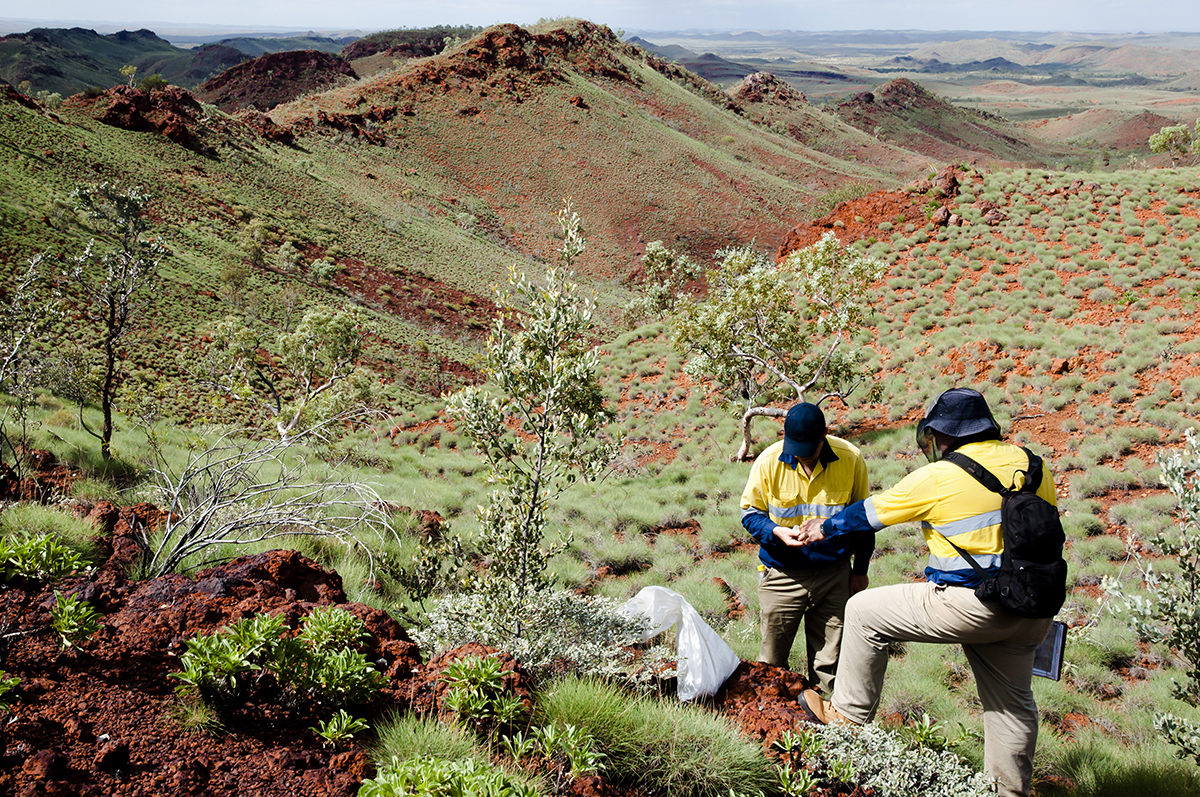Two geologists sampling rocks for iron ore exploration in the outback Pilbara region of Australia.