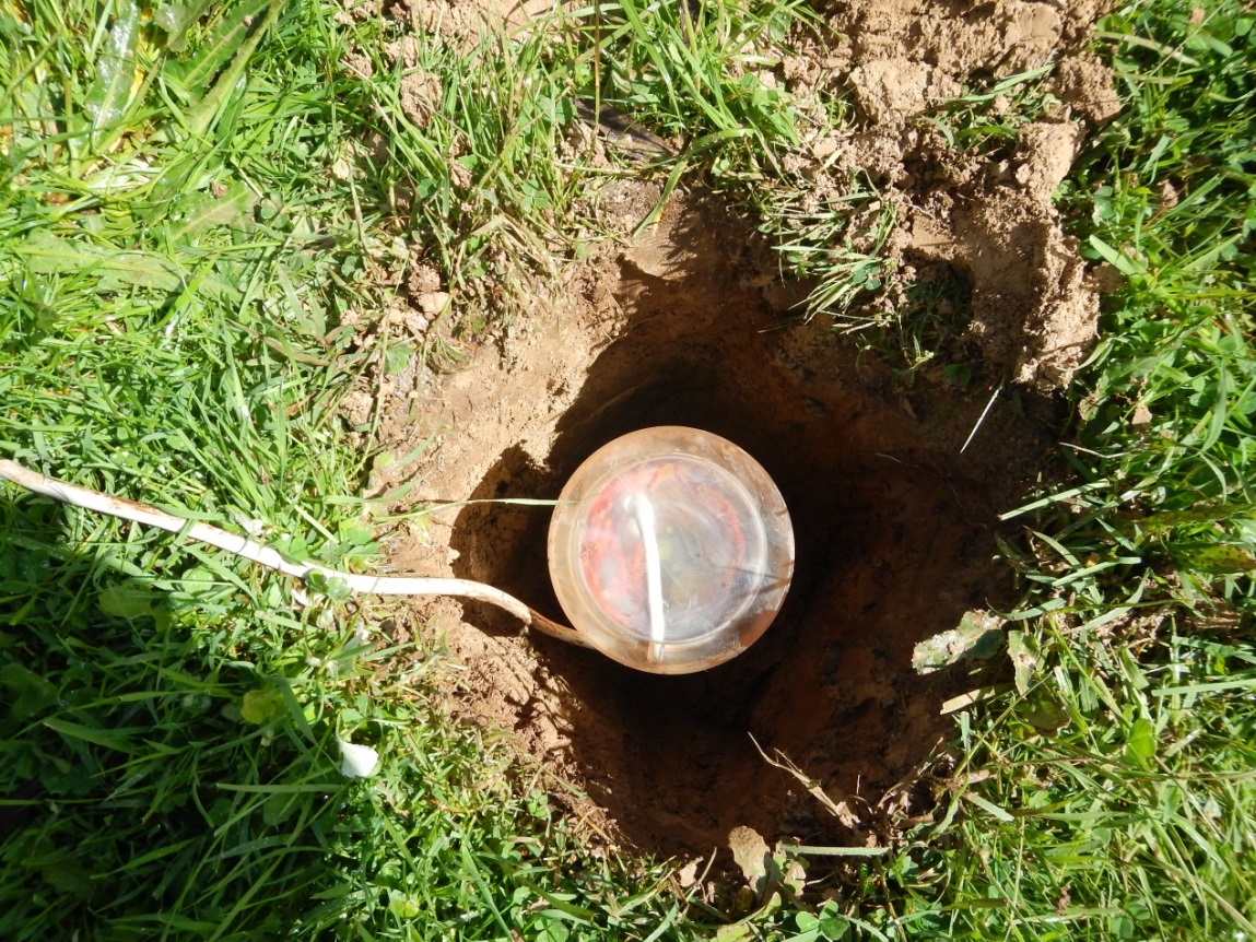 A magnetic sensor (magnetometer) buried 40cm in depth and connected to the acquisition box by a 20m cable, which is also buried