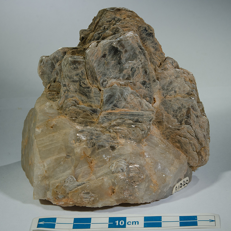 A rock containing large blue-grey mica and white quartz crystals
