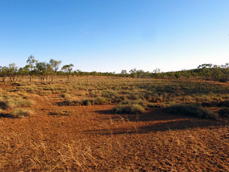 Galilee basin region