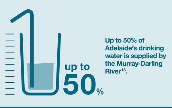 Up to 50% of Adelaide's drinking water is supplied by the Murray-Darling River.