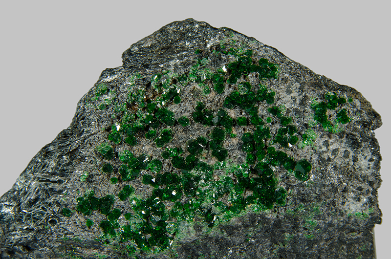 Clusters of small shiny, deep green coloured uvarovite crystals in a grey rock.