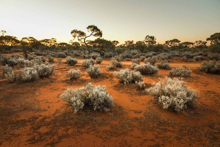 South Australian outback Landscape at sunset