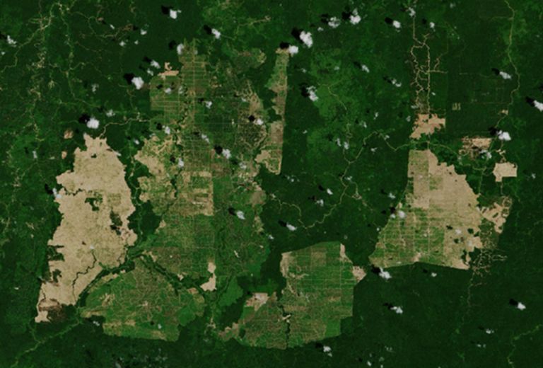Satellite image over palm oil plantations in East Kalimantan, Indonesia