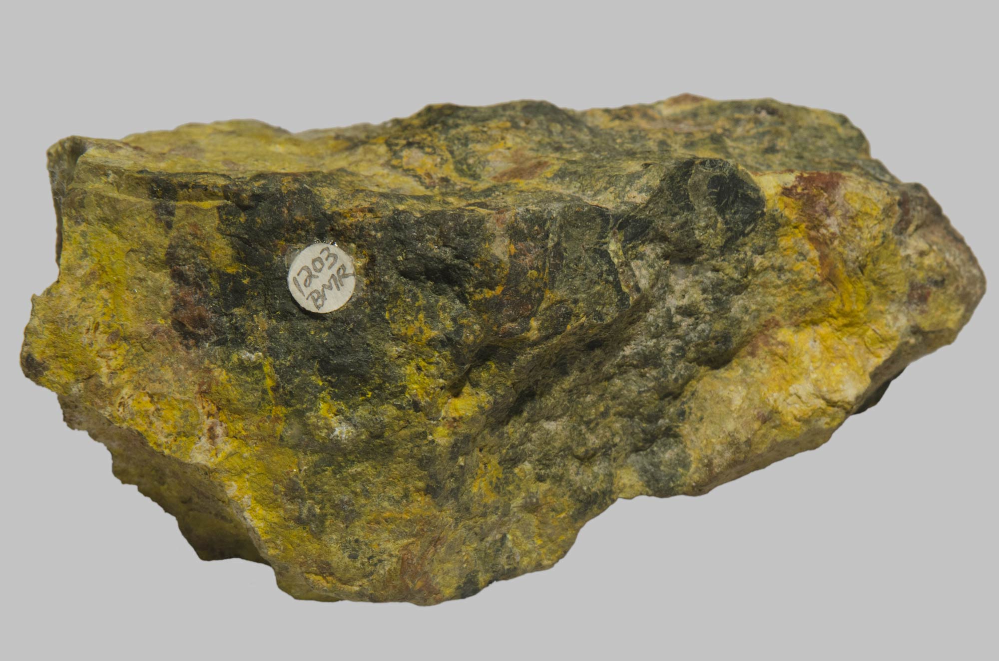 Photograph of an irregularly shaped rock specimen with a rough texture and mixed yellow, green, and brown coloration. A small white circular label with handwritten text is attached to one side, indicating cataloguing or identification for geological study.