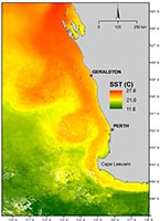 Satellite data showing a strong Leeuwin Current indicated by warmer Sea Surface Temperatures than surrounding waters, flowing southward and eastward around Cape Leeuwin off Western Australia into the Great Australian Bight. The colour range from green to red indicates increasing temperature. Land is indicated in grey to the right of the image.