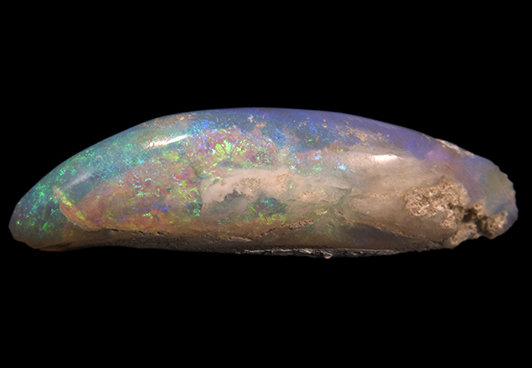 opal shells